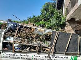 Types of Items We Remove From Your Property in De Leon, TX